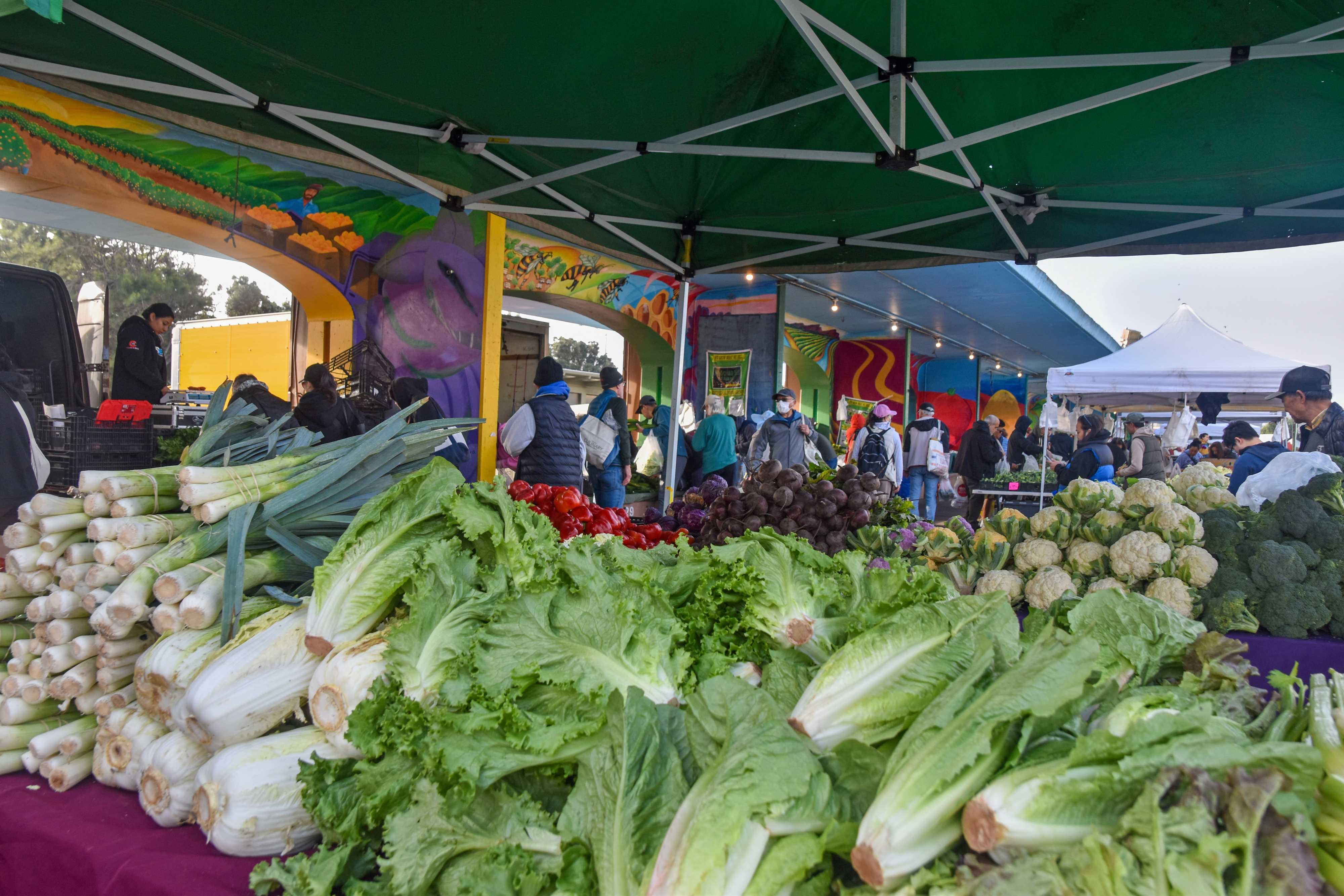Lettuce and other vegetables at a farmers market stand.