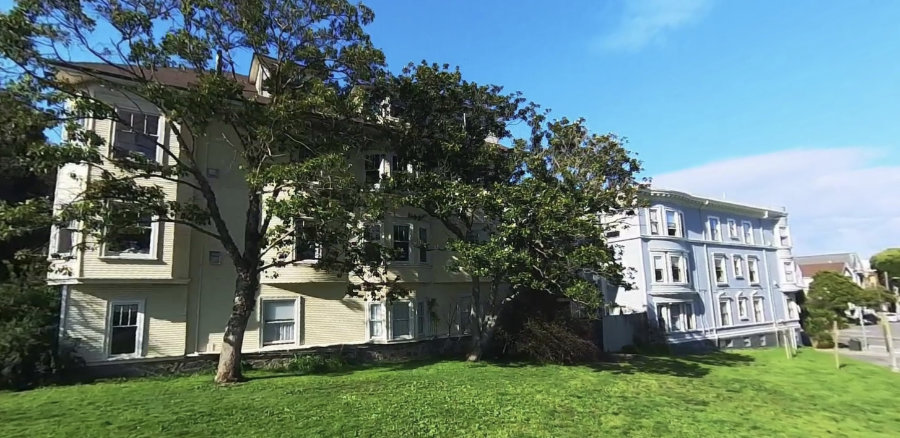Two facades facing Mission-Dolores Park, with many windows.