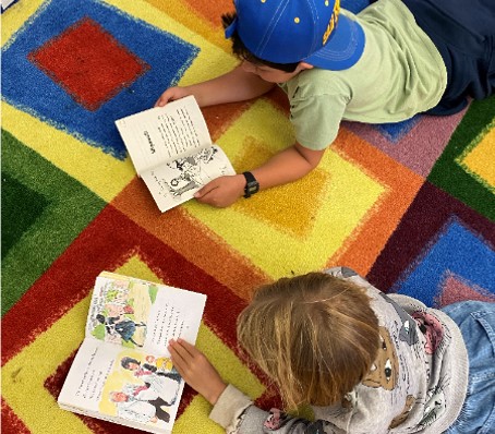 Dalawang batang lalaki na nagbabasa ng mga libro sa isang makulay na alpombra.