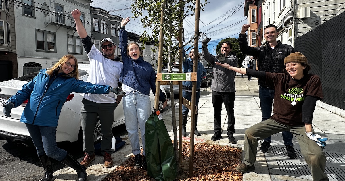 Planting Tree