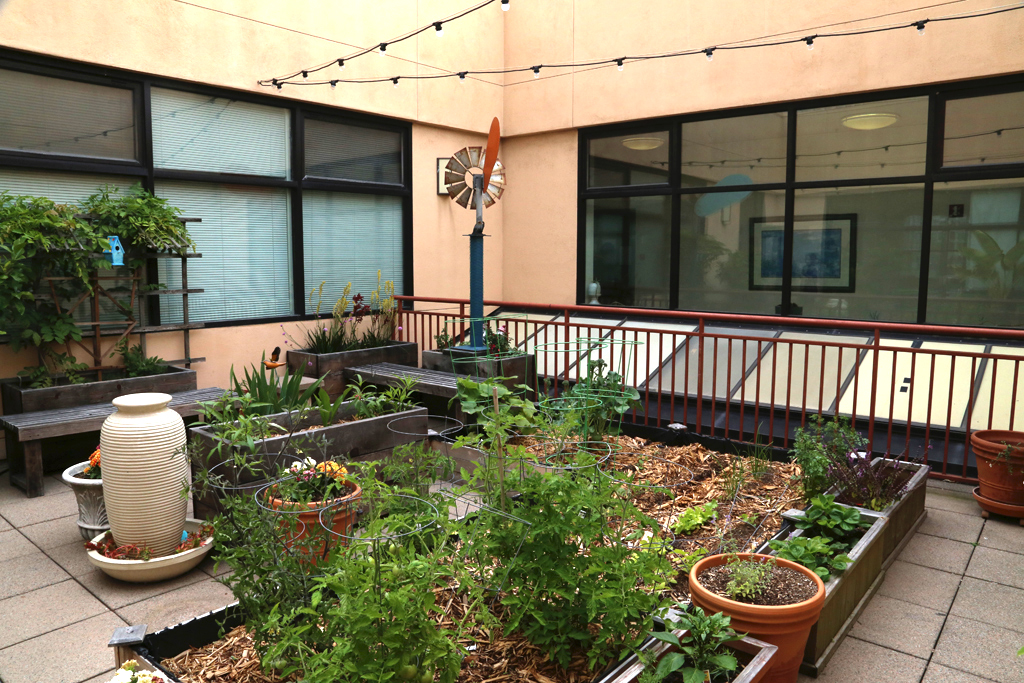 garden outside of sobering center