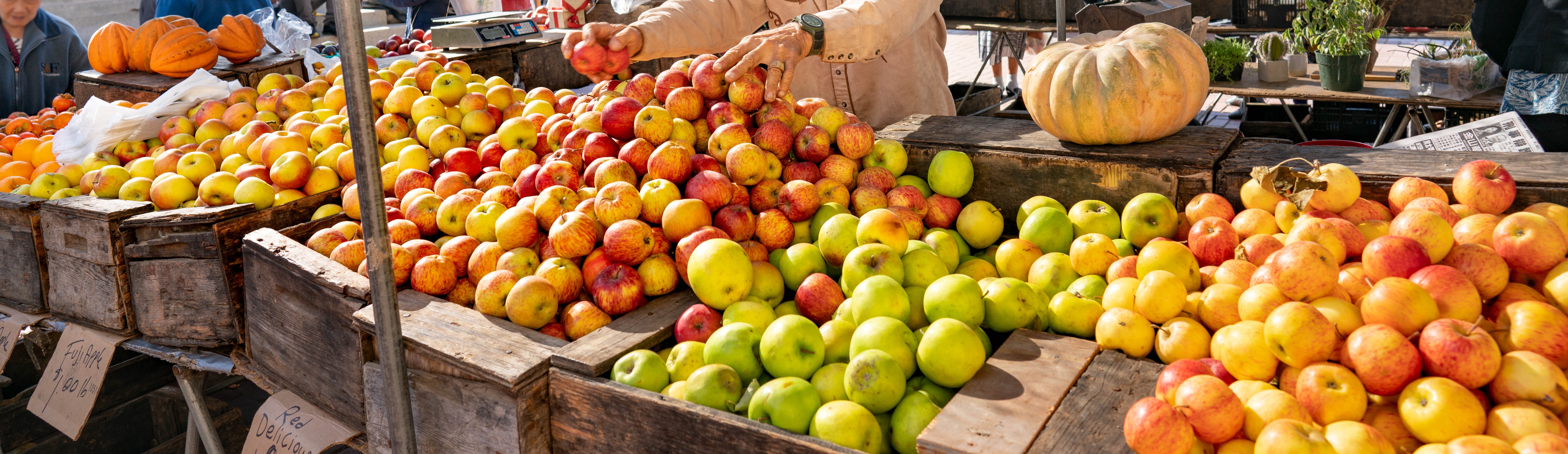 display of several varieties of apples in a farmers market stand