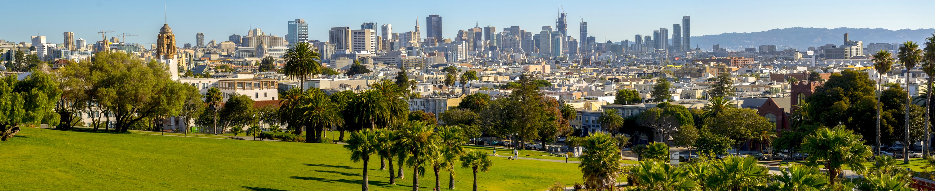 Park with SF in background