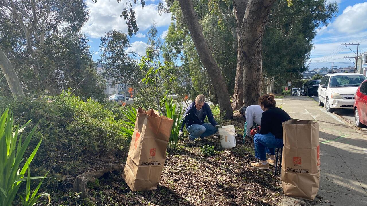 Volunteers clean a garden
