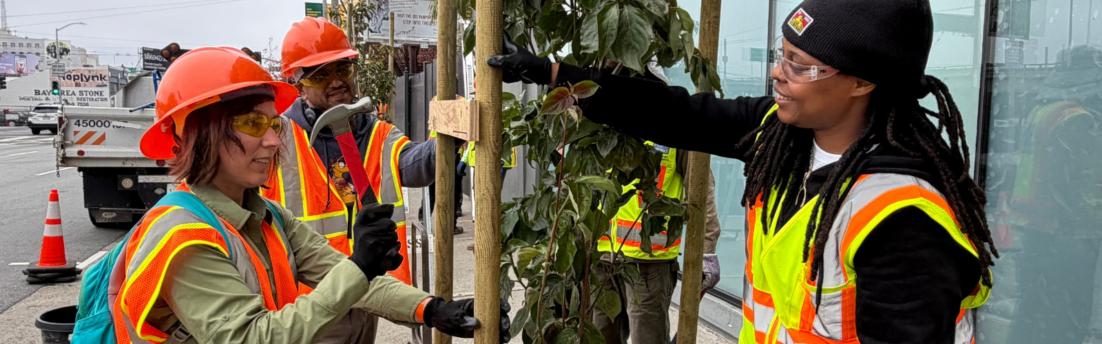 Public works crew planting a tree with volunteers