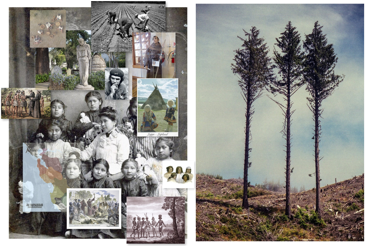 Split image: left shows a collage of historical photos, portraits, and documents; right shows three tall trees standing in a cleared landscape.