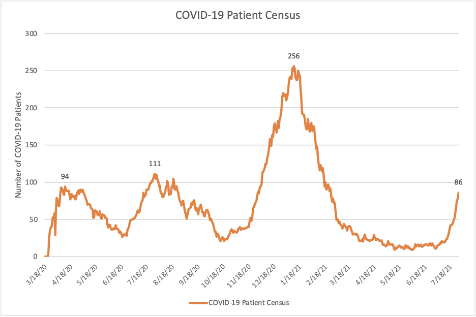 COVID-19 patient census