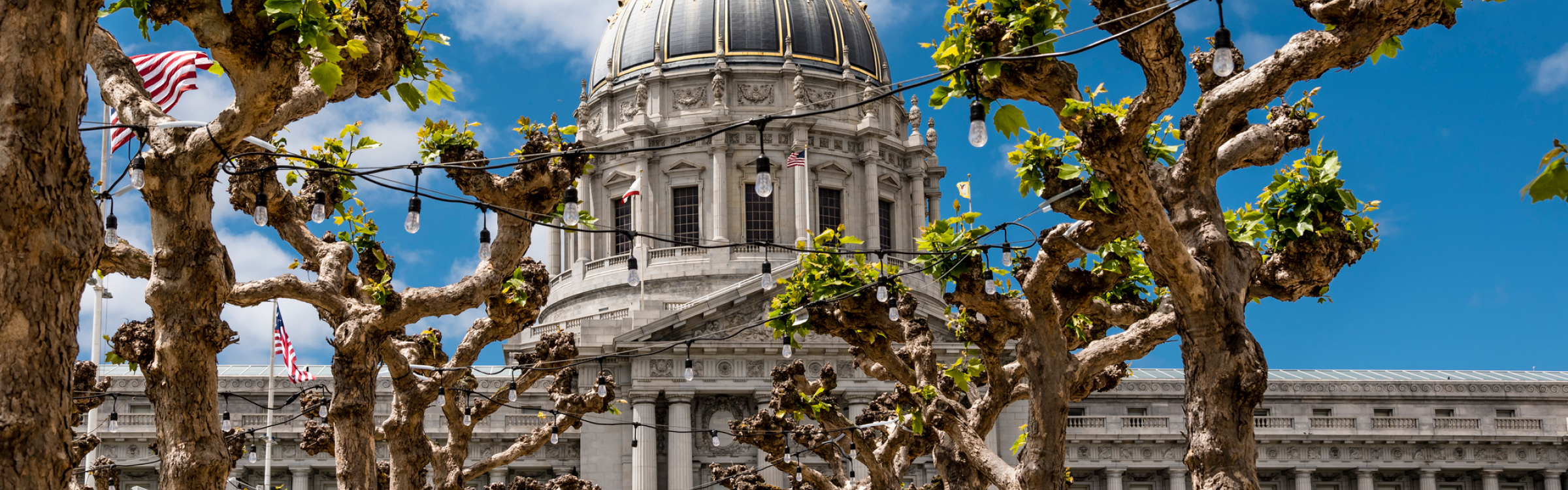 View of the the town hall of San Francisco during a spring sunny day.