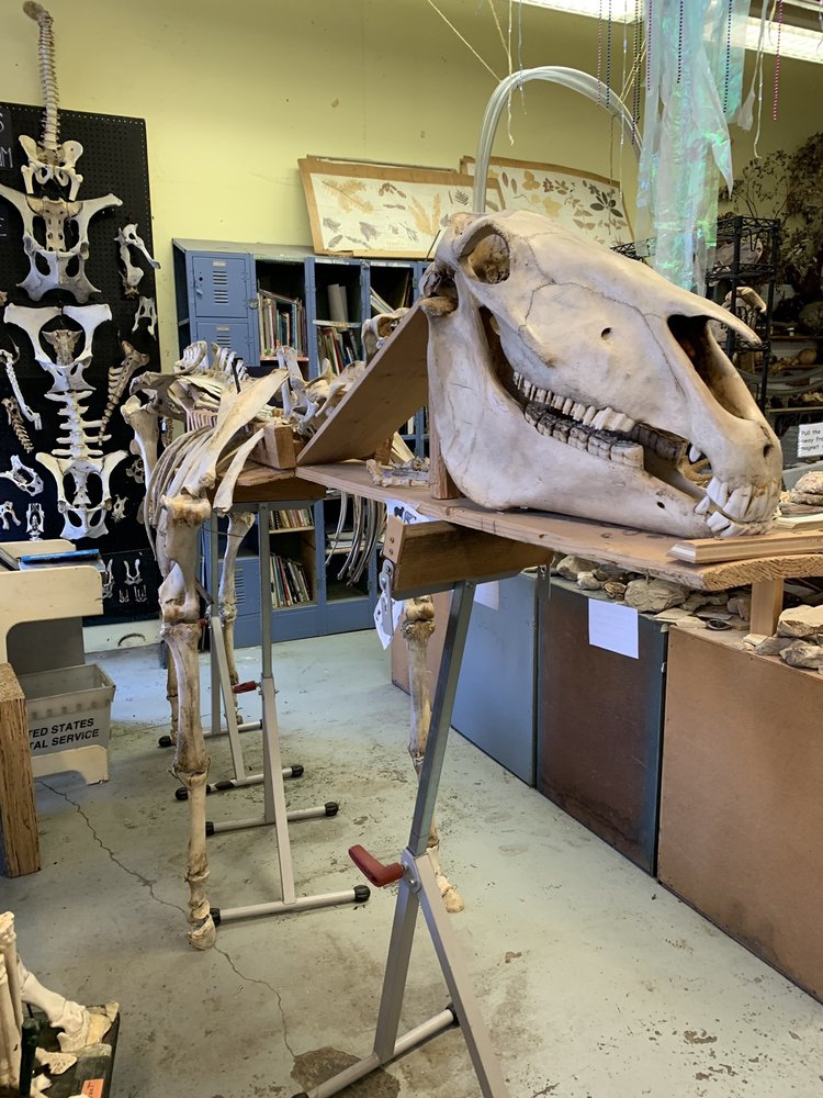 mission science workshop fossils